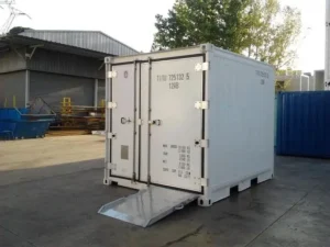 Conteneur réfrigéré Reefer 10 pieds d'occasion